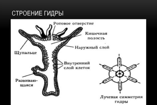 Поддержка кракен шоп