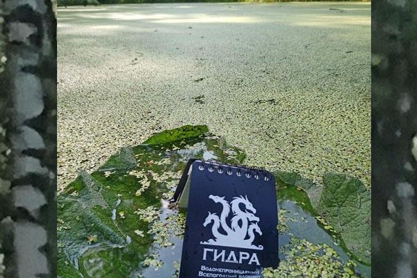 Кракен вывод средств