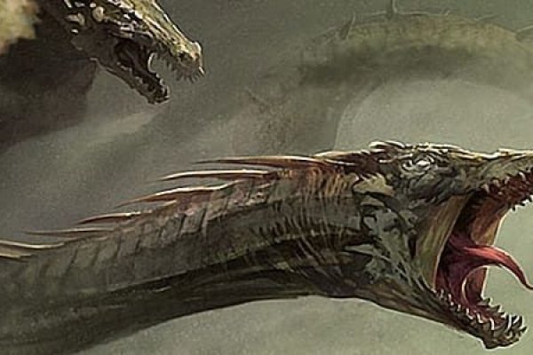 Kraken 5at