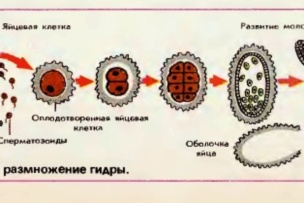 Kraken market зеркала