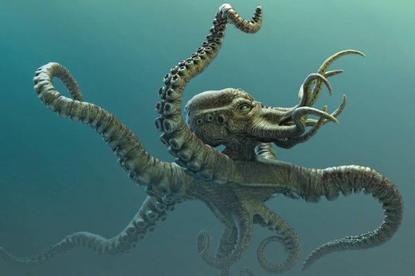 Kraken ссылка актуальная москва