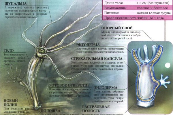 Что за площадка кракен